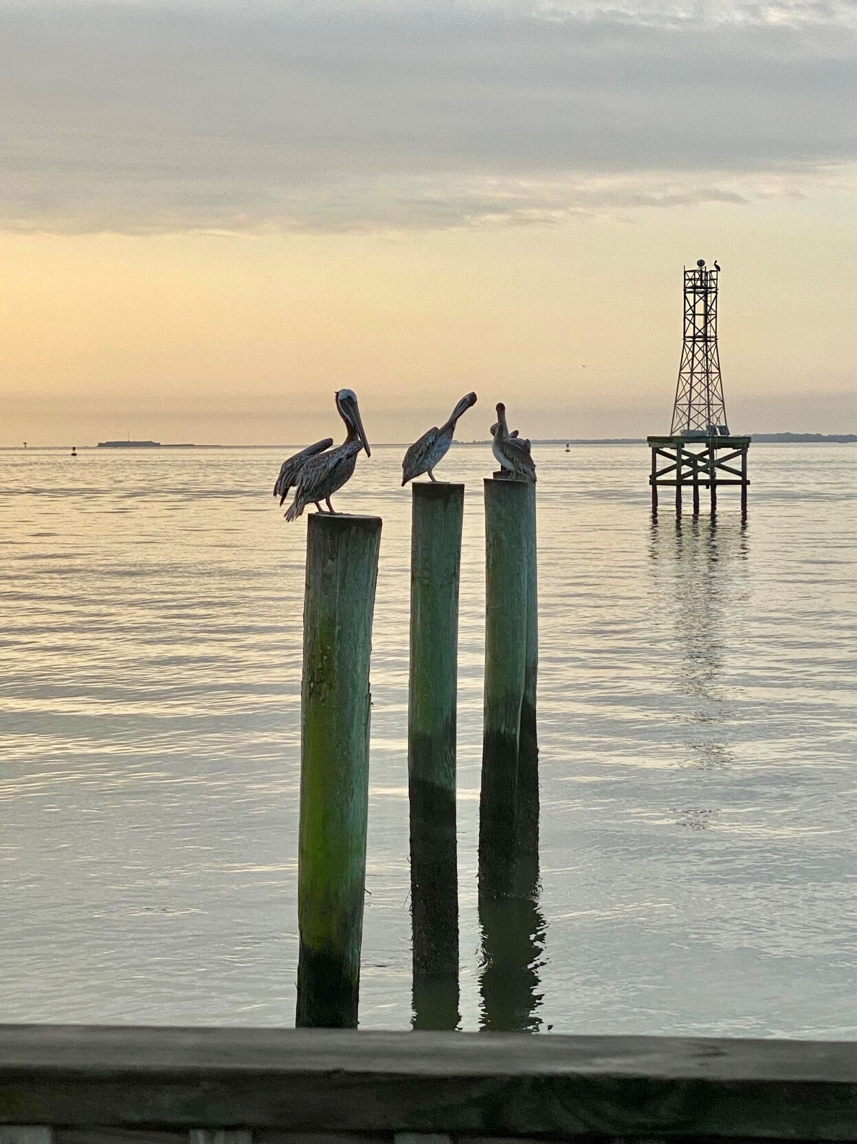 Sittin' by the dock of the bay
